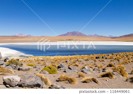 Laguna Canapa view, Bolivia 118449061