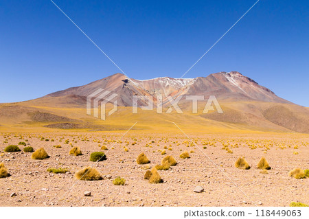 Bolivian mountains landscape,Bolivia 118449063