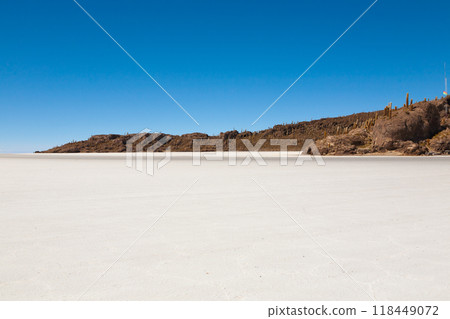 Salar de Uyuni, Bolivia 118449072