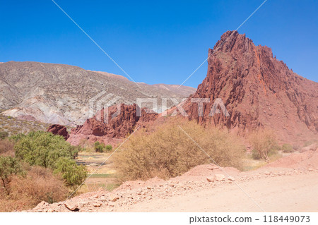 Bolivian canyon near Tupiza,Bolivia 118449073