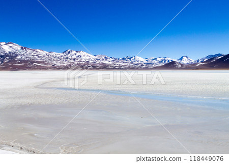 Laguna Blanca landscape,Bolivia 118449076