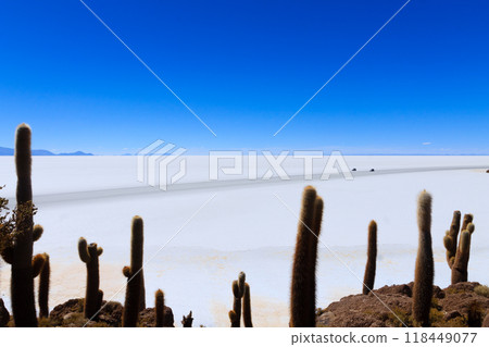 Salar de Uyuni view from Isla Incahuasi 118449077