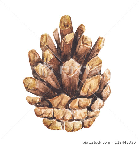 pine cones watercolor illustrations. Isolated cliparts for Christmas design, New Year compositions. Realistic hand drawn botanical elements 118449359
