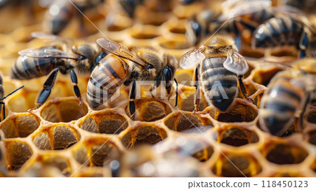 Bees on Honeycomb Bees on Honeycomb 118450123