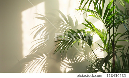 Indoor Plant Basking in Sunlight Indoor Plant Basking in Sunlight 118450383