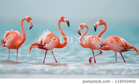 Flamingos Wading in Shallow Waters Flamingos Wading in Shallow Waters 118450408