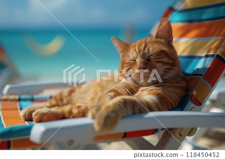 Relaxed Cat Enjoying Beach Vacation 118450452