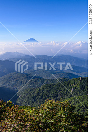 夏日晴朗的天空、富士山的壯麗景色以及金浦山的雲海 118450640
