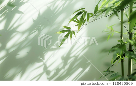Tranquil Green Foliage with Shadows Tranquil Green Foliage with Shadows 118450809