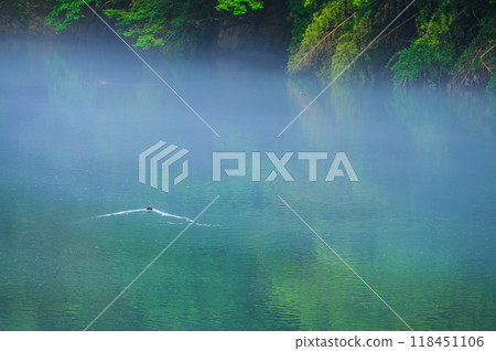 [Sai River] Ducks swimming in the river mist [Ikusaka Village, Higashichikuma District] 118451106
