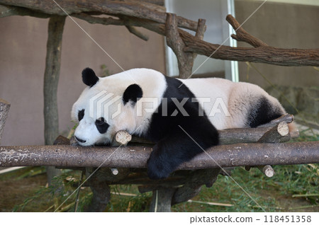 Kaedehama 在遊樂場設備上放鬆 Kaedehama 在遊樂場設備上放鬆 118451358