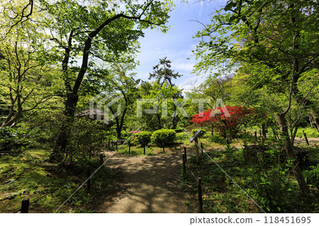 Spring at Sankeien Garden in Honmoku, Yokohama, a Japanese garden 118451695