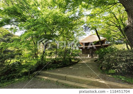 橫濱本牧三溪園的春天及其日本花園 橫濱本牧三溪園的春天及其日本花園 118451704