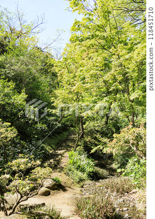 橫濱本牧三溪園的春天及其日本花園 橫濱本牧三溪園的春天及其日本花園 118451710