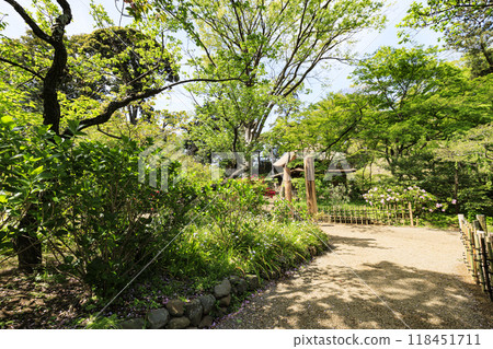 橫濱本牧三溪園的春天及其日本花園 橫濱本牧三溪園的春天及其日本花園 118451711
