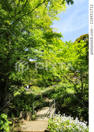 橫濱本牧三溪園的春天及其日本花園 橫濱本牧三溪園的春天及其日本花園 118451712