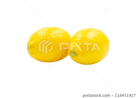 檸檬【廣島縣產】 118451927