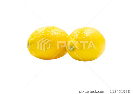 檸檬【廣島縣產】 118451928
