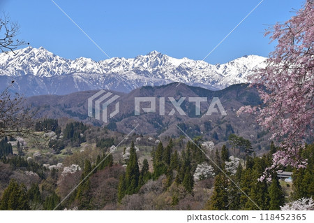 從小川村立屋展望台附近欣賞櫻花和北阿爾卑斯山的壯麗景色 118452365