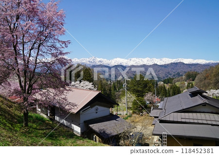 Ogawa Village: A spectacular view of cherry blossoms and the Northern Alps from near Tateya Observatory Ogawa Village: A spectacular view of cherry blossoms and the Northern Alps from near Tateya Observatory 118452381