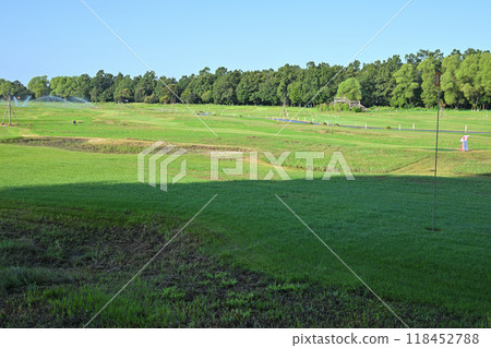 The coolness of early morning at the park golf course Midsummer scenery 118452788