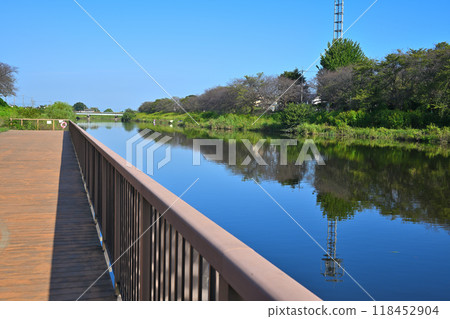 從河甲板上眺望賓沼河 仲夏風光 118452904