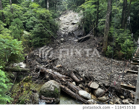 Yakusugi Land is a nature park populated by a number of yakusugi. The park is one of the most accessible places on Yakushima to see the ancient cedar trees. 118453538