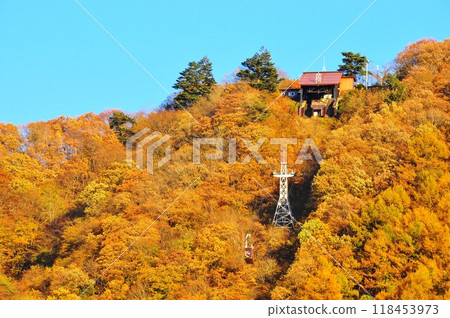 河口湖畔的滴答山（天上山）的黃葉和滴答山索道 118453973