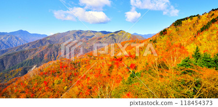 Autumn leaves seen from Mount Hangetsu Autumn leaves seen from Mount Hangetsu 118454373