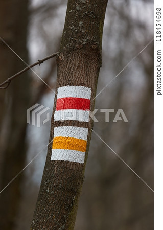 Hiking trail signs in a forest Hiking trail signs in a forest 118454698