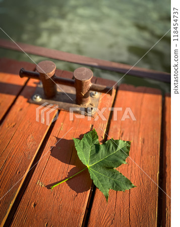 Maple leaf lying on wooden planks of the pier by the water 118454737