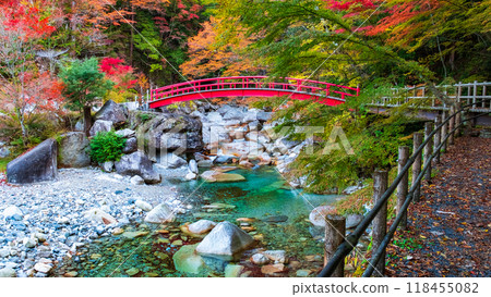 Yumori Valley (Autumn) 118455082