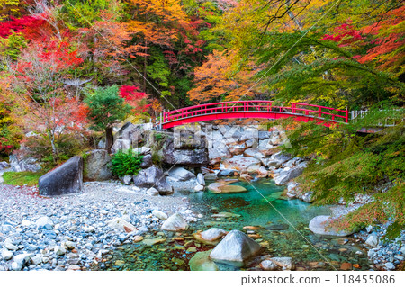 Yumori Valley (Autumn) 118455086