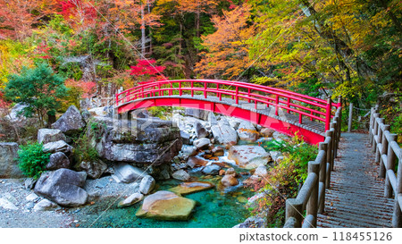 Yumori Valley (Autumn) 118455126