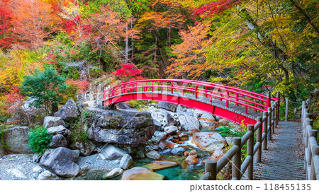 Yumori Valley (Autumn) 118455135