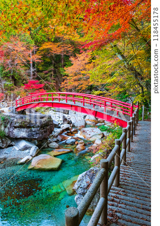 Yumori Valley (Autumn) 118455178