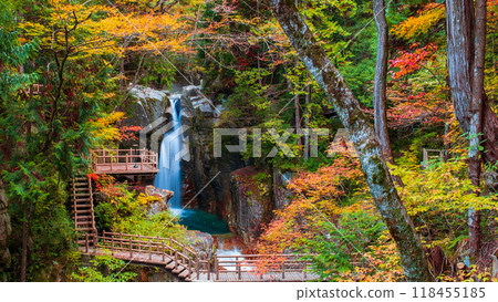 Yumori Valley (Autumn) 118455185