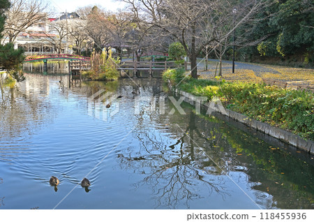 本所宿步行：本莊市若泉市若泉公園 118455936