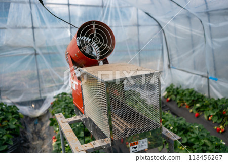 Photosynthesis accelerator for strawberry cultivation 118456267