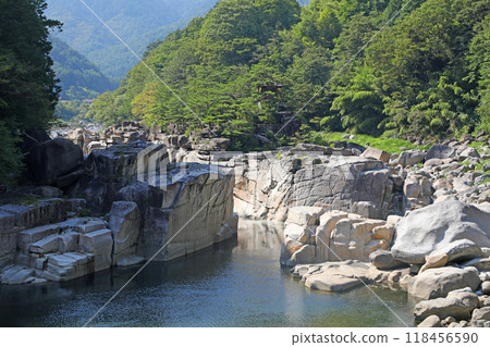 睡覺的地板 118456590