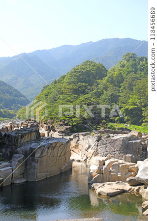 睡覺的地板 睡覺的地板 118456689