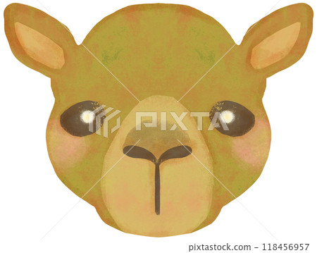 Cute camel illustration face Cute camel illustration face 118456957