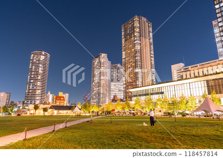 [東京]池袋/池山公園塔樓公寓夜景 118457814