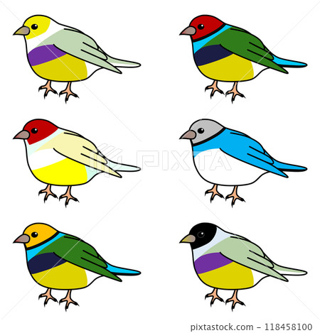 受歡迎又可愛的胡錦雀 受歡迎又可愛的胡錦雀 118458100