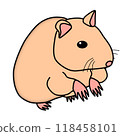 流行又可愛的倉鼠 118458101
