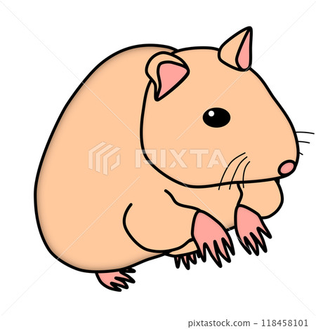 流行又可愛的倉鼠 流行又可愛的倉鼠 118458101