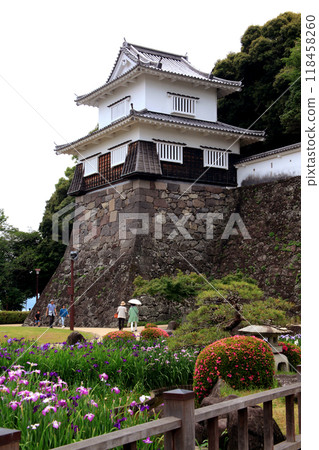 Nagasaki Prefecture, Omura City, Omura Park, the landscape of the iris garden spreading across the former site of Kushima Castle moat 118458260