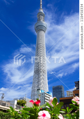 Blue Sky and Tokyo Sky Tree 118458334