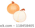 Onion drawn with colored pencils 118458405