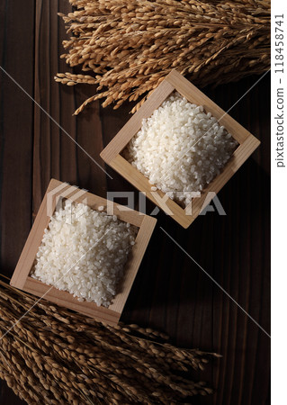 飯碗裡的米飯和米穗 118458741